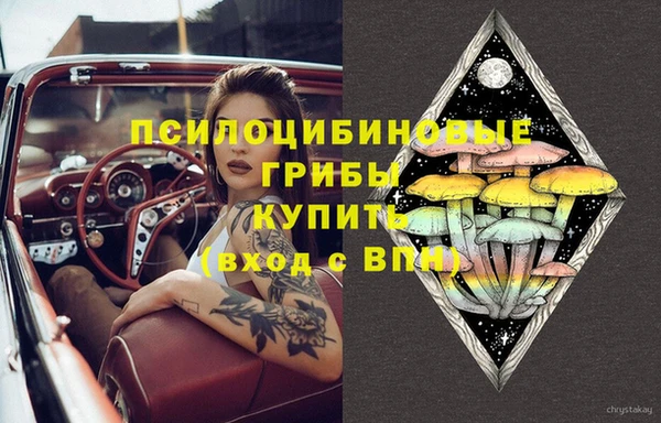 mdpv Арсеньев