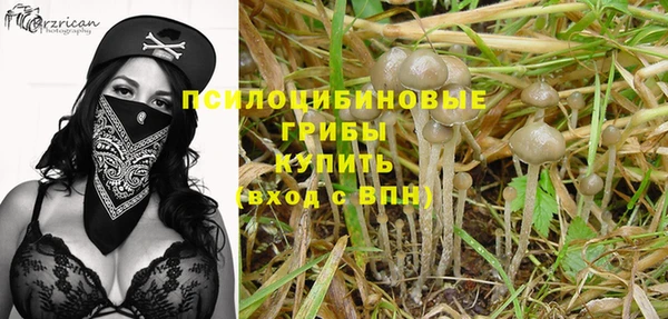 mdpv Арсеньев