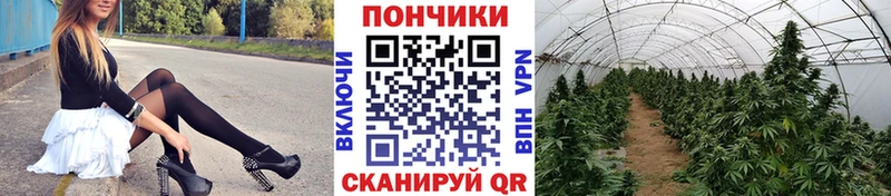 Канабис OG Kush Елабуга